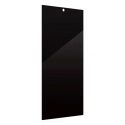 Screen Protector Samsung S24 Core Glass Araree - Privacy Black (1 Pcs)